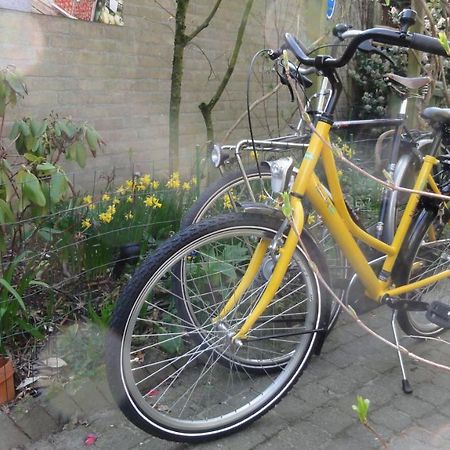 B&B Aan Het Park Eindhoven Zewnętrze zdjęcie